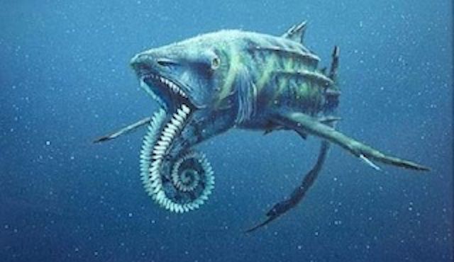 10. Helicoprion
