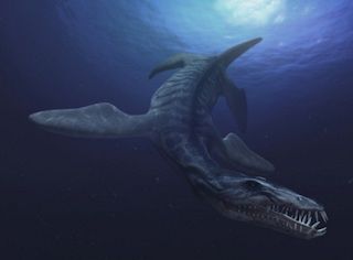 13. Liopleurodon