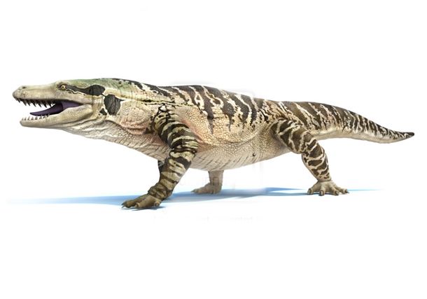 15. Megalania