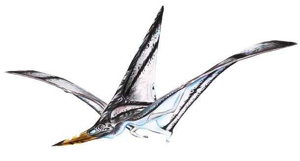 17. Nyctosaurus