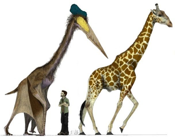 21. Quetzalcoatlus