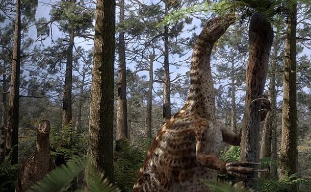 25. Therizinosauridae