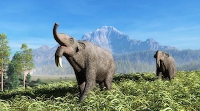 3. Deinotherium