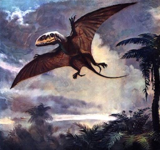 4. Dimorphodon