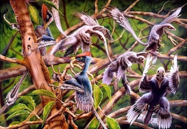 7. Epidendrosaurus