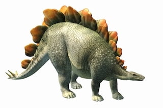 7. Stegosaurus