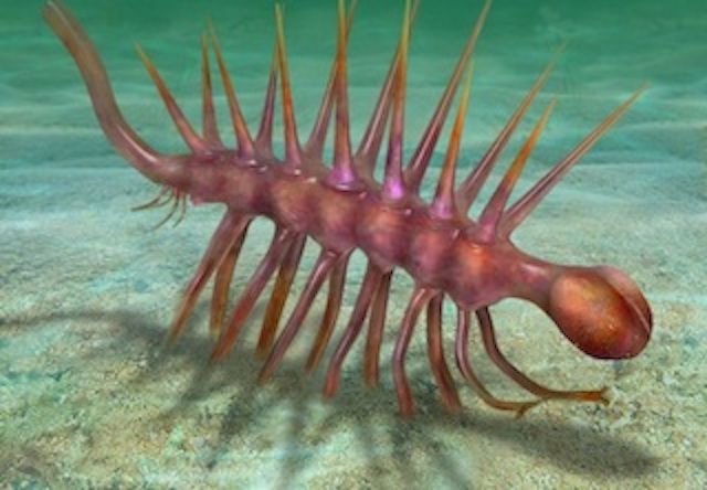 9. Hallucigenia