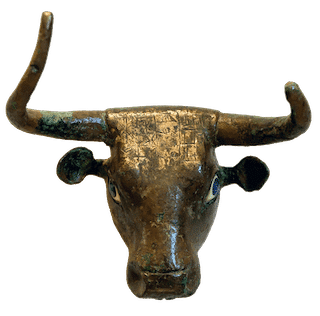 3. Bull head