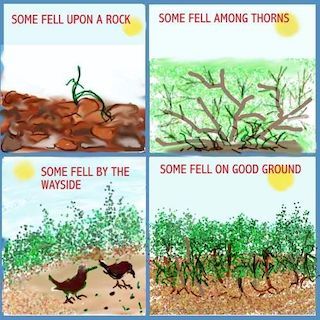 3. The Sower and the Seeds
