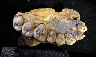 5. Archaelogists have found the oldest known human ancestors in Ethiopia