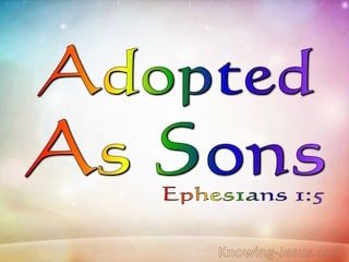 15 Adopted