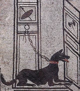7 Dog Mosaic