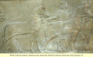 3 Mede tribute bearer