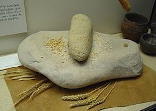 An upper hand stone was used to grind grain on the lower quern stone.