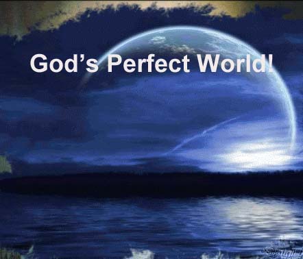 1 Gods Perfect World