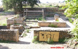 2 The Samaritans e1556377918412