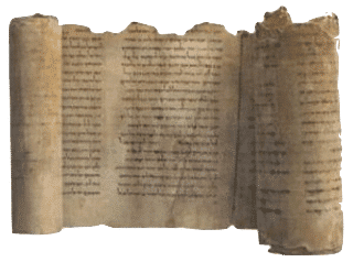 8 The “therapists”