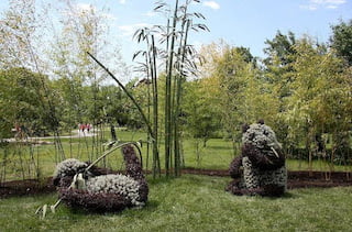 2 Pandas and BambooPandas and Bamboo