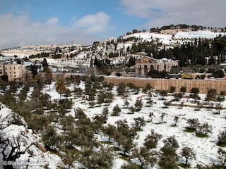 7 Mount of Olives